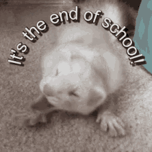 End Of School Its The End Of School GIF - End Of School Its The End Of School GIFs