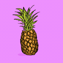 purple pineapple wiggle shake rock