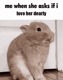 a rabbit is sitting in front of a door with a caption that says me when she asks if i love her dearly