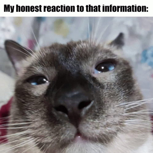My Reaction To That Information GIF - My Reaction To That Information ...