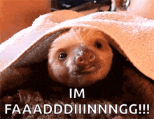 Awww Sloth GIF - Awww Sloth Adorable GIFs