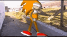 Tanic Tanicthehedgehog GIF - Tanic Tanicthehedgehog Sonic GIFs