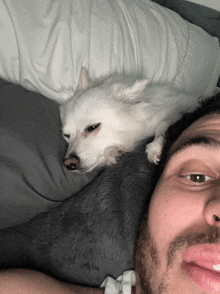 a man is laying on a bed with a small white dog on top of him