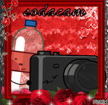 a picture of a soda bottle and a camera with the word sodacam written on the bottom