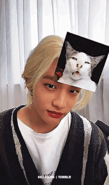 Hyunjin Hyunjin Cat GIF - Hyunjin Hyunjin Cat Stray Kids GIFs