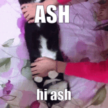 Ash Hiash GIF - Ash Hiash Ashpersona GIFs