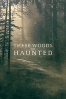 a poster for the movie these woods are haunted with a foggy forest in the background .