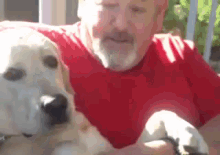Spoiled Dog! GIF - Lab Love Puppy GIFs