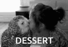 Dessert Owl GIF - Dessert Owl GIFs