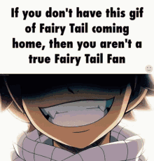 Fairy Tail Were Home GIF - Fairy Tail Were Home If You Dont Have This Gif GIFs