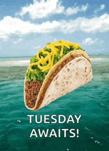 Tacos Taco Bell GIF - Tacos Taco Bell Food GIFs