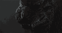Godzilla Monster GIF - Godzilla Monster GIFs