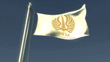 a white and gold unesa flag flies in the wind