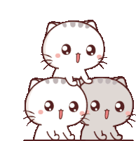 Cute Cats Sticker - Cute Cats Stickers