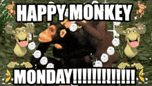 Monkey Monday Linden Monkey Monday GIF - Monkey Monday Linden Monkey Monday Silly Monkey GIFs