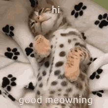 Good Meowning Cat GIF - Good Meowning Cat Sleepy GIFs