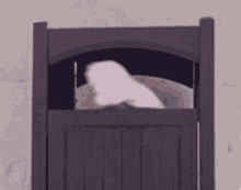 Hendo Cat Hiding GIF - Hendo Cat Hiding GIFs