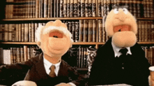 two stuffed animals are sitting in front of a bookshelf .