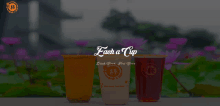 Each A Cup GIF - Each A Cup GIFs