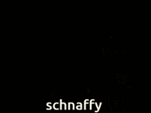 Schnaffy Waffy GIF - Schnaffy Waffy GIFs