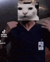 Uncanny Cat The Good Doctor GIF - Uncanny Cat Canny Cat Cat GIFs