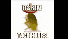 taco hours its real cockroach dance