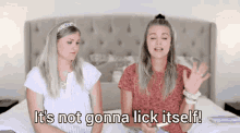 Its Not Gonna Lick Itself Cunnilingus GIF - Its Not Gonna Lick Itself Lick Lick Itself GIFs