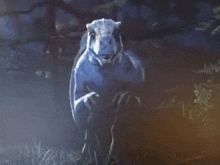 a close up of a dinosaur with its mouth open in a dark room