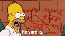 Homer Simpson The Simpsons GIF - Homer Simpson The Simpsons He Sure Is GIFs