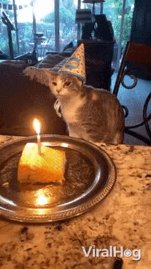 Happy Birthday Viralhog GIF - Happy Birthday Viralhog Birthday GIFs