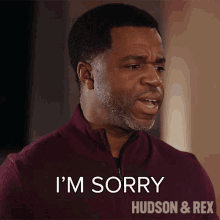 Im Sorry Joe Donovan GIF - Im Sorry Joe Donovan Hudson And Rex GIFs