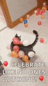 Cats Static GIF - Cats Static Balloonsstick GIFs
