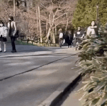 a group of people are walking down a sidewalk in a park with trees in the background .