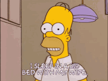 Simpsons Homer Simpson GIF - Simpsons Homer Simpson Big Bed GIFs