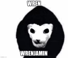 Wren Wrenjamin GIF - Wren Wrenjamin GIFs