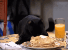 Cat Eat GIF - Cat Eat Hotcakes GIFs