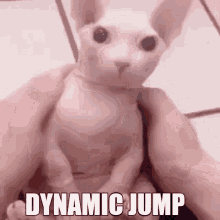 Dynamic Jump Bingus GIF