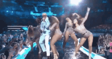 Dancing Pitbull GIF - Dancing Pitbull Cmt Music Awards GIFs