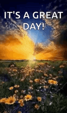 Great Day Flowers GIF - Great Day Flowers Greetings GIFs