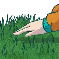 a person 's hand is pointing at a patch of grass