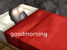 Shaq Minecraft GIF - Shaq Minecraft Sleep GIFs