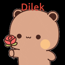 a teddy bear is holding a rose and the word dilek is written above it