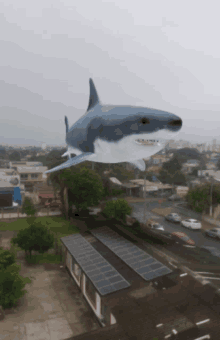 Tubarão Voando GIF - Tubarão Voando GIFs