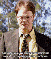 Dwight Schrute The Office GIF - Dwight Schrute The Office Seed GIFs