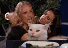 Taylor Armstrong Smudge Cat GIF - Taylor Armstrong Smudge Cat Smudge GIFs