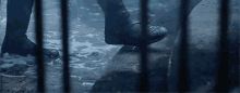 a person 's feet are visible through a fence in a dark room