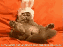 Happy Easter Bunny Ears GIF - Happy Easter Bunny Ears Cat GIFs