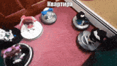 a group of robotic vacuum cleaners are sitting on a red carpet with a caption in russian that says квартира