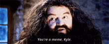 a man with long hair and a beard is saying `` you 're a meme , kyle '' .