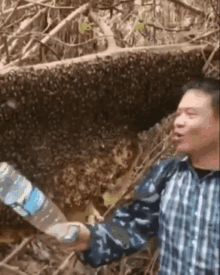 Thanh Loves Bees Asian Beekeeper GIF